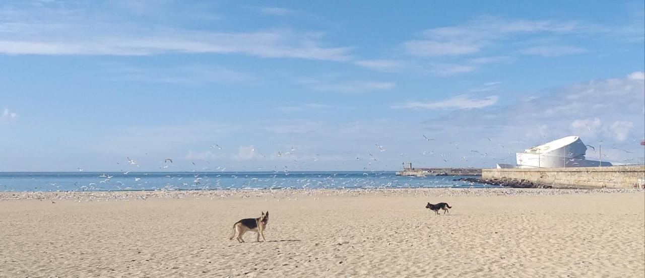 Maria Sardinha_As Tres Marias Apartment Matosinhos  Ngoại thất bức ảnh